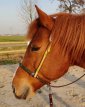Sidepull met veertjes