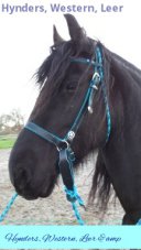 Bitloos zwart/turquoise