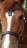 side pull western style maat Cob/Full