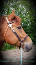 side pull western style maat Cob/Full