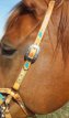 Feathers 'n braids sidepull