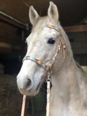 Sidepull hoofdstel met twists