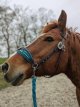 Sidepull met veren