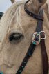 Sidepull met veren