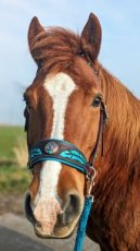 Sidepull met veren